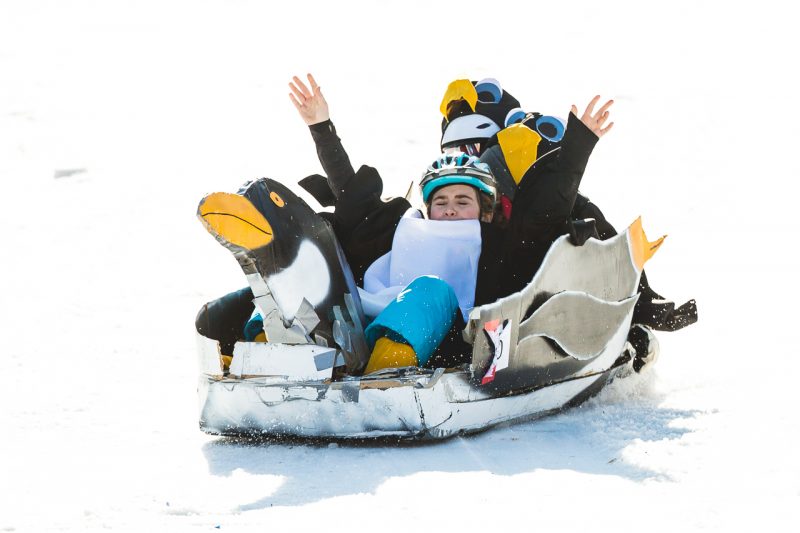Cardboard Sled Build Winterfest Grand Haven